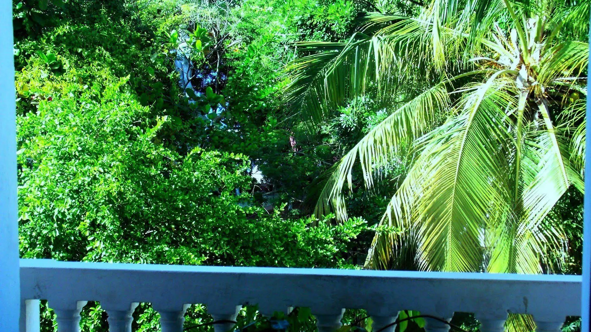 Hotel Boutique Diego De Alcala Suites Cartagena 4*,